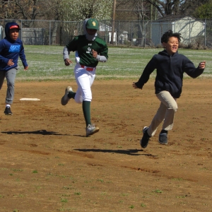 Baseball Fun 2019