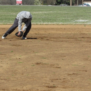 Baseball Fun 2019