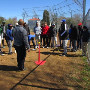 Baseball Fun 2019